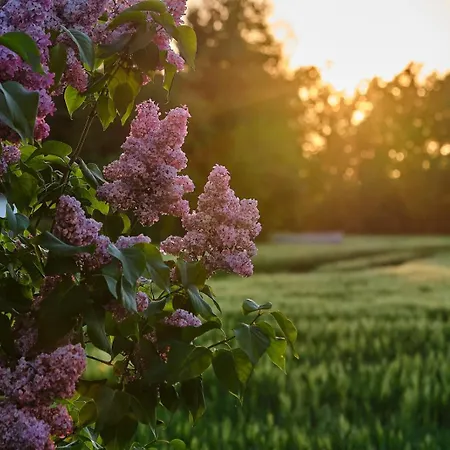 Wernsdorf * Глаухау