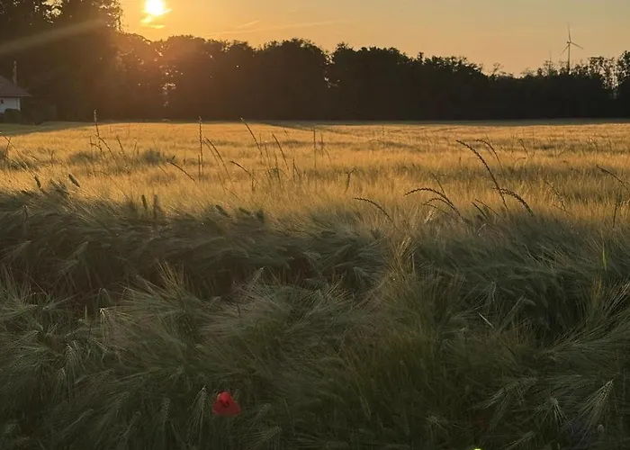 Hébergement de vacances Wernsdorf Glauchau